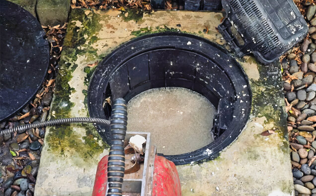 https://plumberroleystone.com.au/uploads/2025/06/blocked-drains-820453.jpg