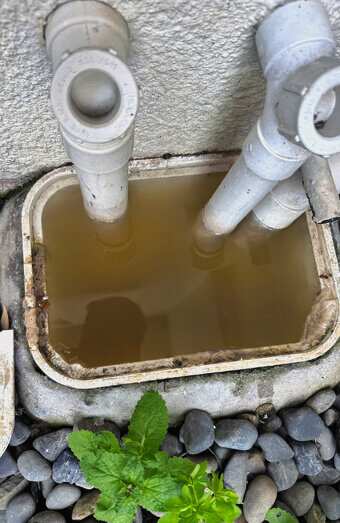 https://plumberroleystone.com.au/uploads/2025/06/blocked-drains-912576.jpg