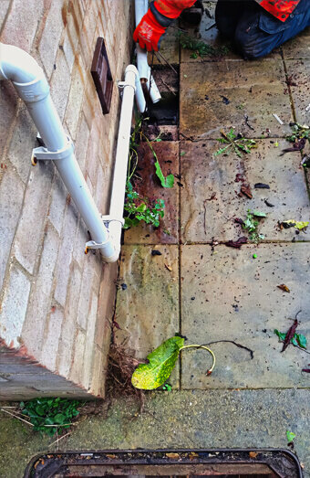 https://plumberroleystone.com.au/uploads/2025/06/pipe-relining-34611.jpg
