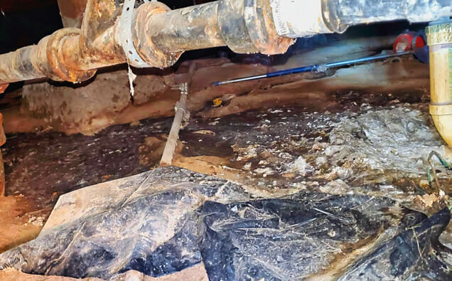 https://plumberroleystone.com.au/uploads/2025/06/plumbing-73706.jpg